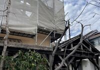 IMG_0357
